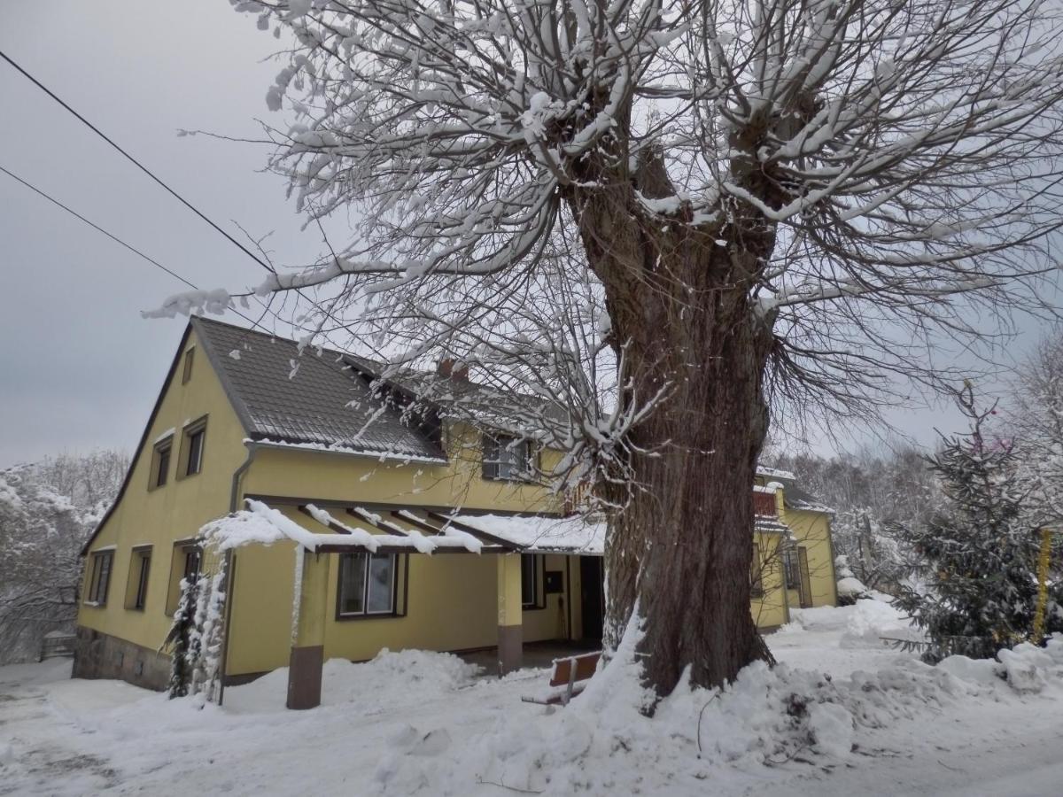 Appartamento Na Kopci 84 Stare Krecany Esterno foto